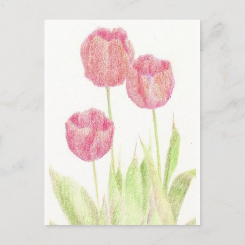 Red Tulip Spring Flower Cottage Garden Art Postcard