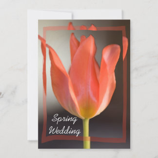 Red Tulip Spring Wedding Announcement