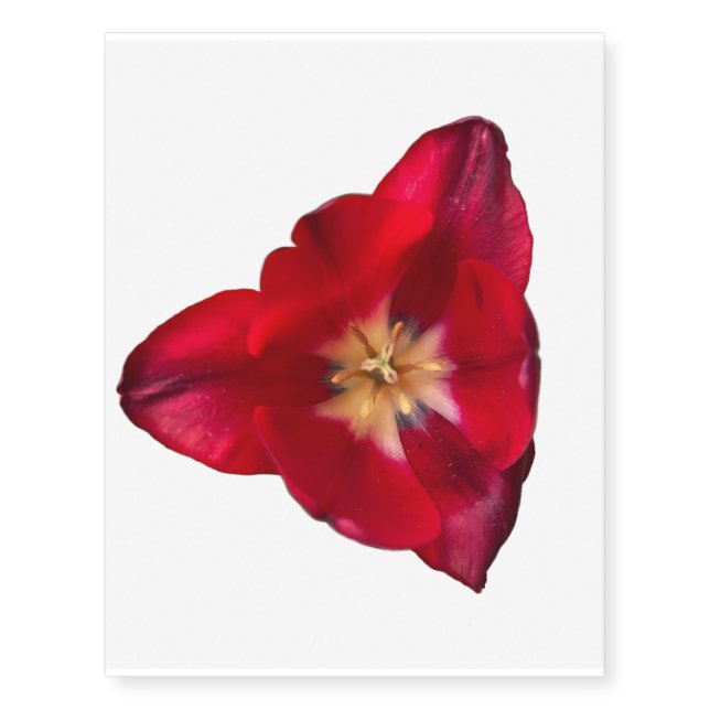 Red Tulip Temporary Tattoos (Front)