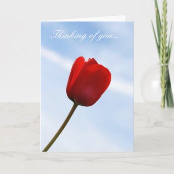 Red Tulip Thinking Of You Card by lynnsphotos at Zazzle