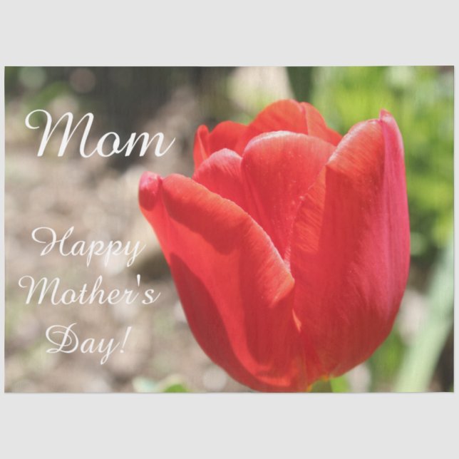 Red Tulip Tissue Paper (Front)