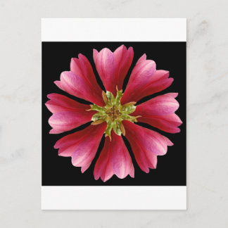 Red Tulip Tree Postcard