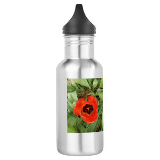 Red Tulip Water Bottele Stainless Steel Water Bottle