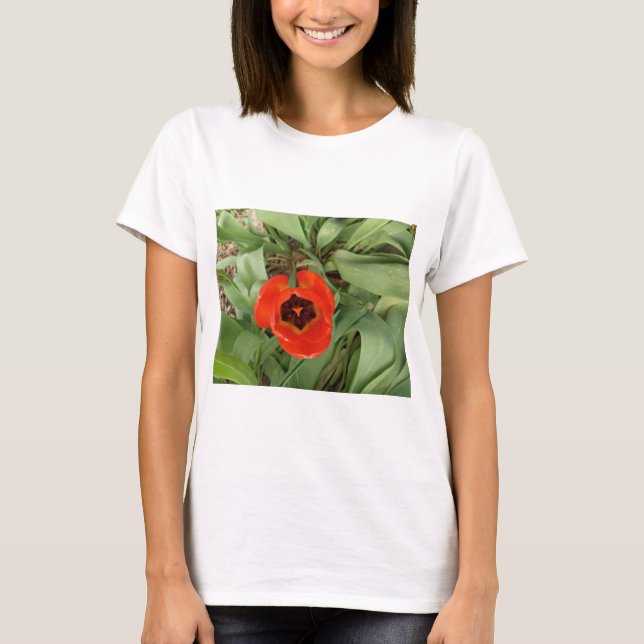 Red Tulip Womans T-Shirt (Front)