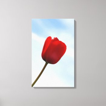 Red Tulip Wrapped Canvas by lynnsphotos at Zazzle