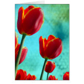 Red Tulips (Front)