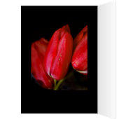 Red Tulips (Inside (Left))