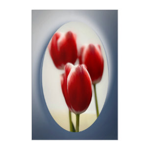 Red tulips acrylic print