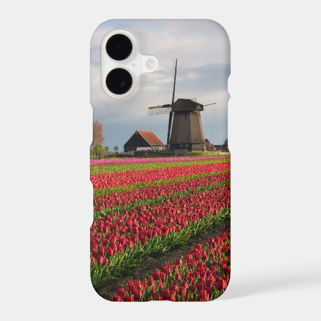 Red tulips and a windmill iphone case (Back)