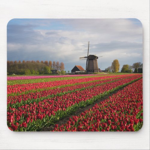 Red tulips and a windmill mouse pad