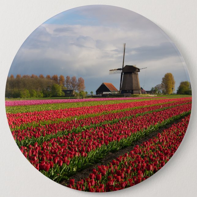 Red tulips and a windmill pinback button (Front)