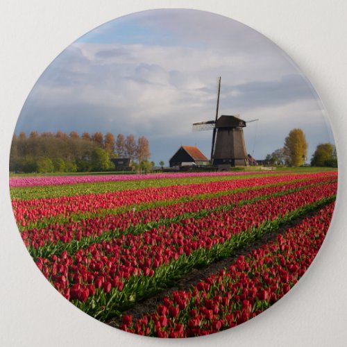 Red tulips and a windmill pinback button