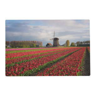 Red tulips and a windmill placemat