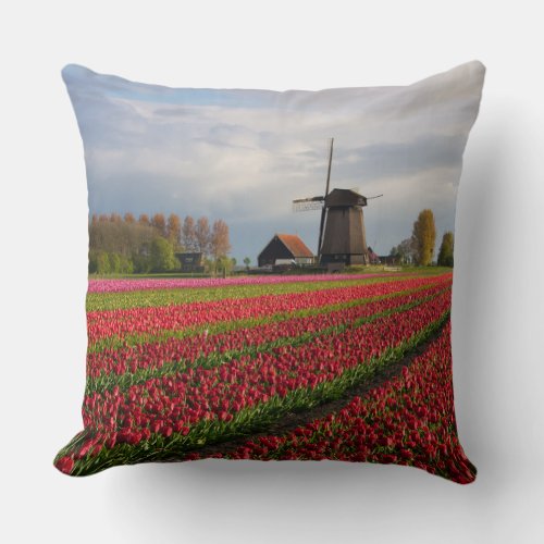 Red tulips and a windmill throw pillow