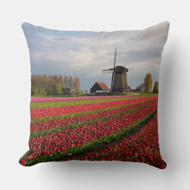 Red tulips and a windmill throw pillow (Front)