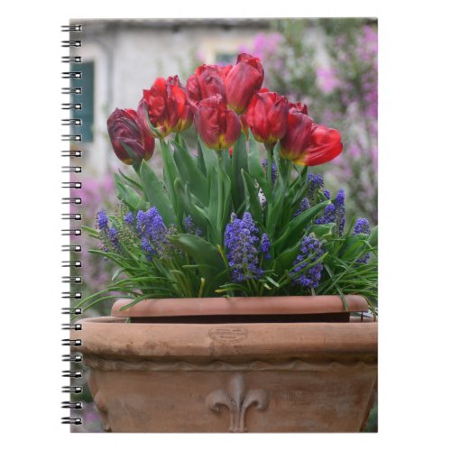 Red tulips and muscari              notebook