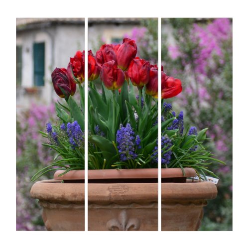 Red tulips and muscari           triptych