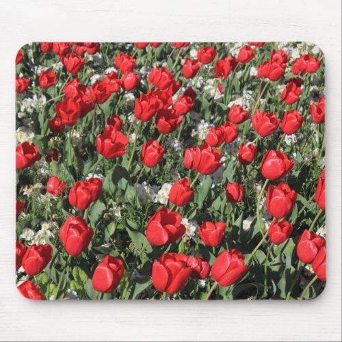 Red Tulips and White Primroses Mouse Pad