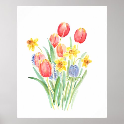 red tulips and yellow daffodils watercolor  poster