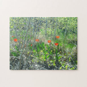 Red Tulips Aspen Trees Jigsaw Puzzle   Challenging
