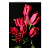Red Tulips Blank Card (Front)