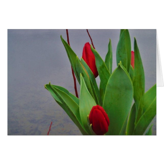 Red Tulips Blue Lake Arrowhead water Cards (Front Horizontal)
