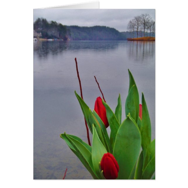 Red Tulips Blue Lake Arrowhead water Cards (Front)