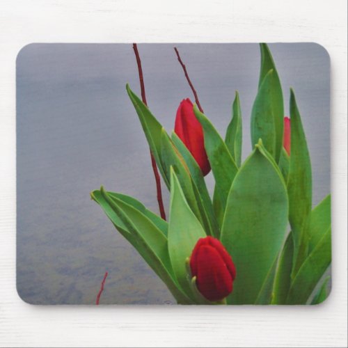 Red Tulips Blue Lake Arrowhead water Mouse Pad