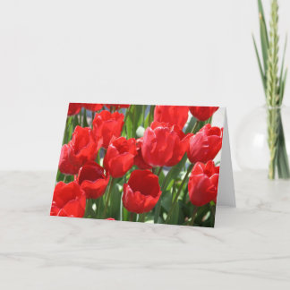 Red tulips card