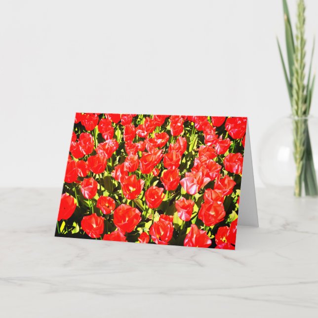 Red tulips card (Front)