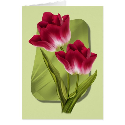 Red Tulips Cards (Front)