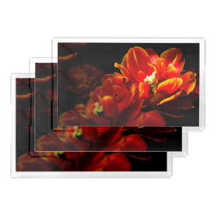 Red tulips dark background acrylic tray