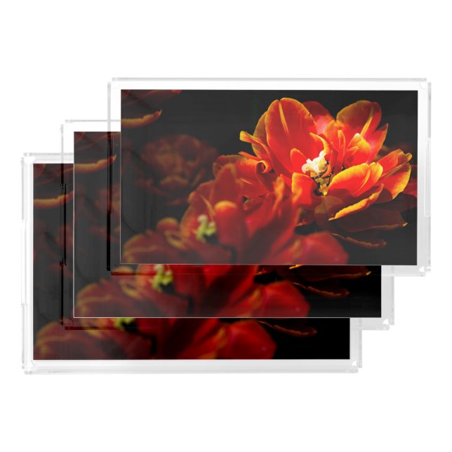 Red tulips dark background acrylic tray (Set)