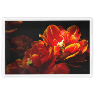 Red tulips dark background acrylic tray