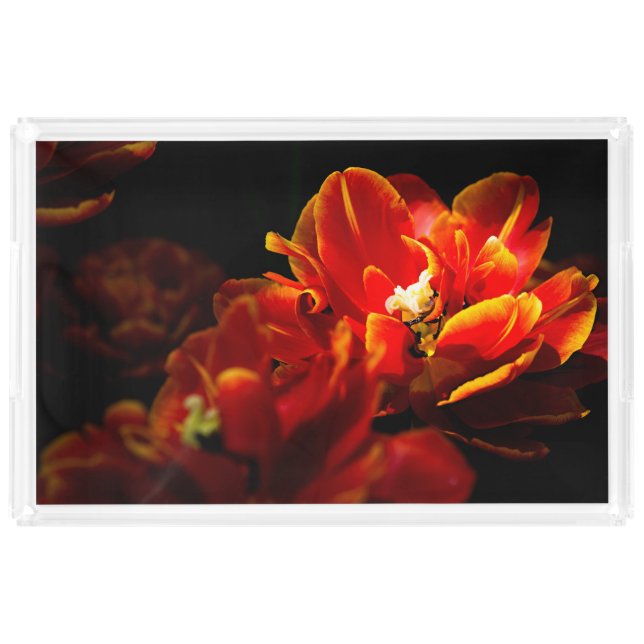 Red tulips dark background acrylic tray (Front)