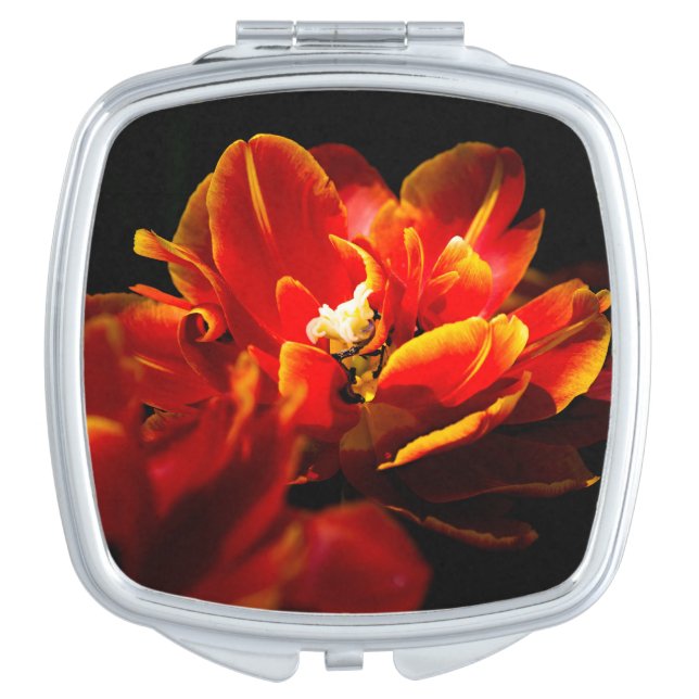Red tulips dark background compact mirror (Front)