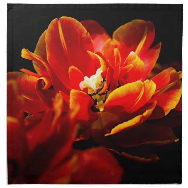 Red tulips dark background napkin (Front)