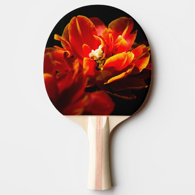 Red tulips dark background ping pong paddle (Back)