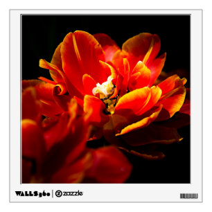 Red tulips dark background wall sticker