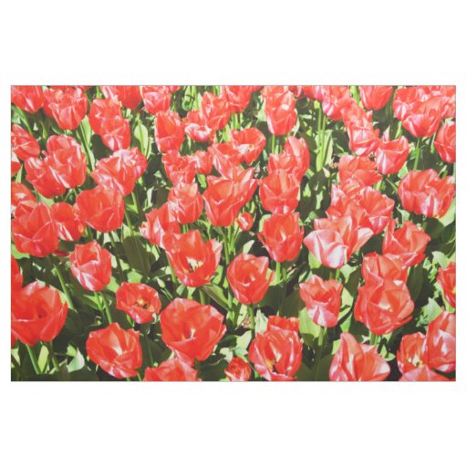 Red tulips fabric