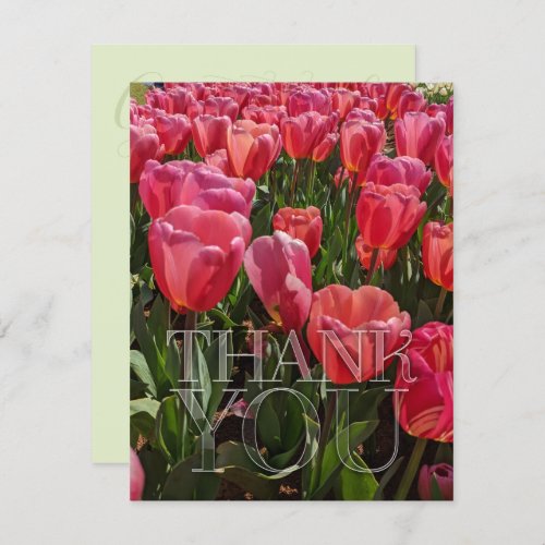 Red Tulips Flowers theme Thank You