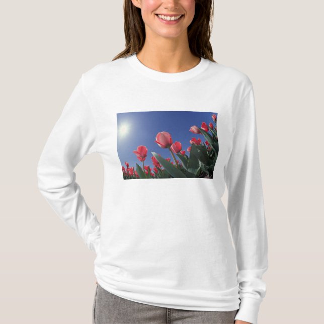 Red tulips from very low angle, Cincinnati, T-Shirt (Front)