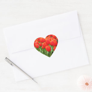 Red Tulips garden Heart Sticker