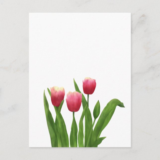 Red Tulips in Watercolour Style Holiday Postcard (Front)