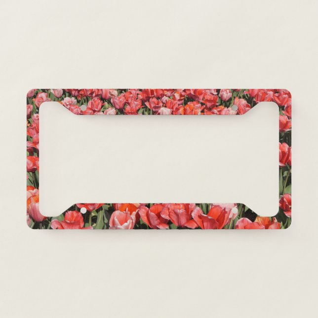 Red Tulips License Plate Frame (Front)