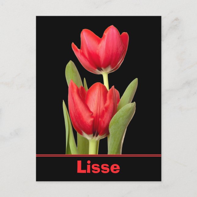 Red Tulips Lisse Postcard (Front)
