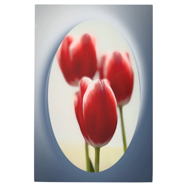 Red tulips metal print (Front)