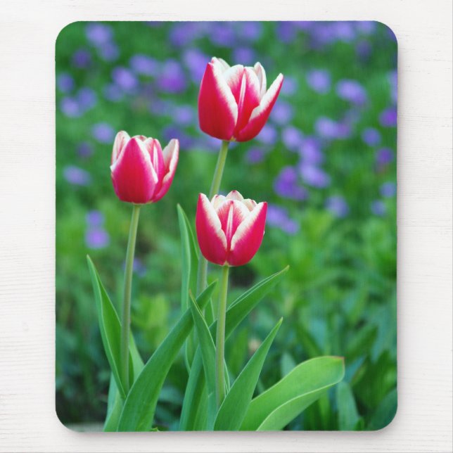 Red Tulips Mouse Pad (Front)