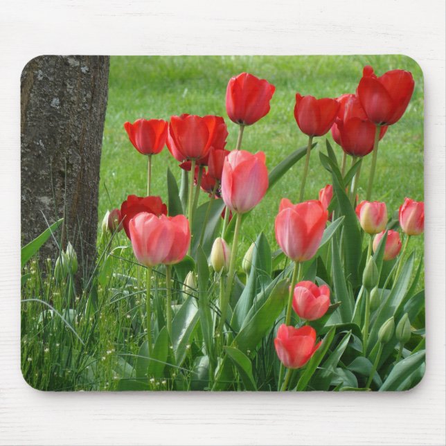 RED TULIPS MOUSEPADS Tulip Flowers MOUSE PAD (Front)