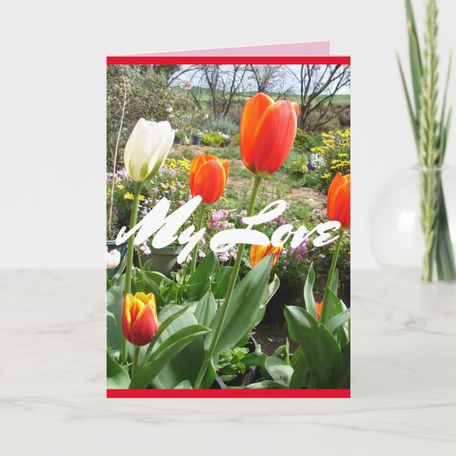Red Tulips My Love Spring flowers Card (Front)